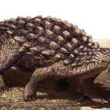 L'anchilosauro